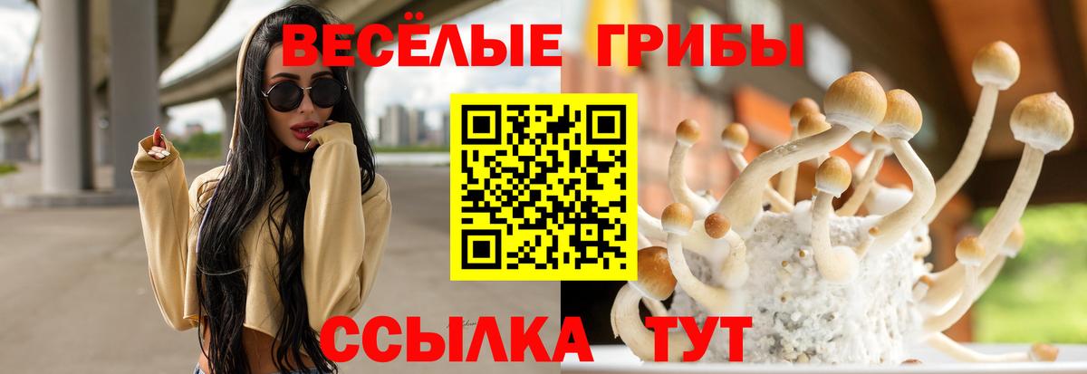 Псилоцибиновые грибы GOLDEN TEACHER  Вход с VPN  Галлюциногенные грибы Magic Shrooms  магазин    Балашиха 